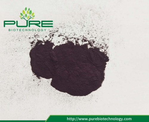 Acai berry powder helps you to be more strong and health