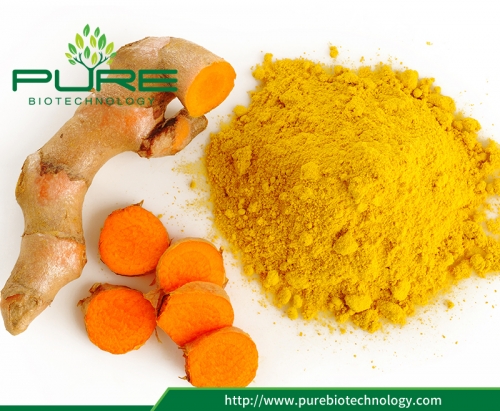 Turmeric Powder Make Your Body More Strong