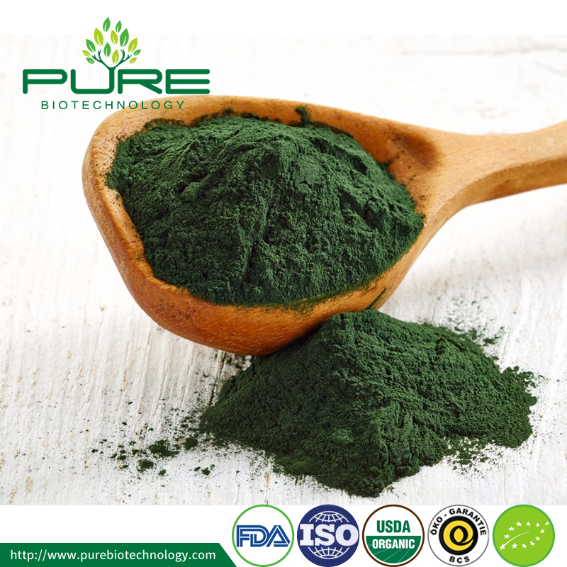 What Makes Spirulina So Special?