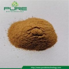 Monk fruit powder/mogroside v 1%-65%