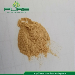 Monk fruit powder /Mogroside V 1%-65%