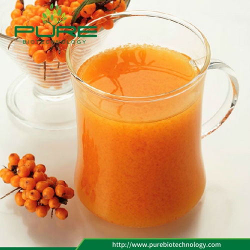 Sea Buckthorn Benefits