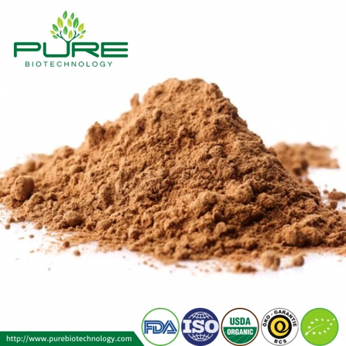 Organic Cordyceps Militaris Powder