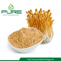 Cordyceps Militaris Powder