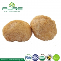 Organic Lion's Mane Powder