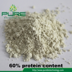 Bio-Hanfprotein-Pulver