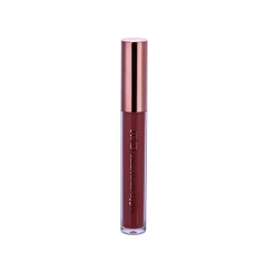 High quality liquid lipgloss private label lip gloss