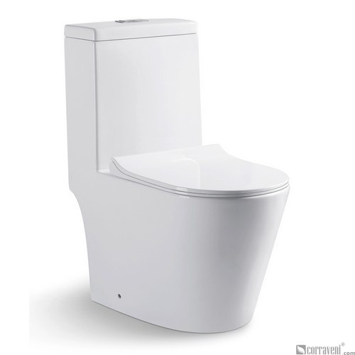 RS211 ceramic washdown one-piece toilet