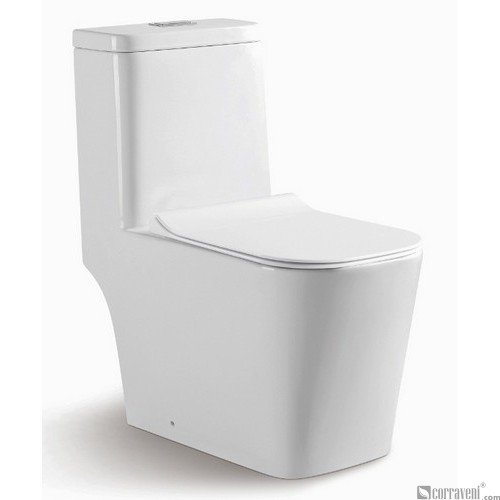 RS111 ceramic washdown one-piece toilet