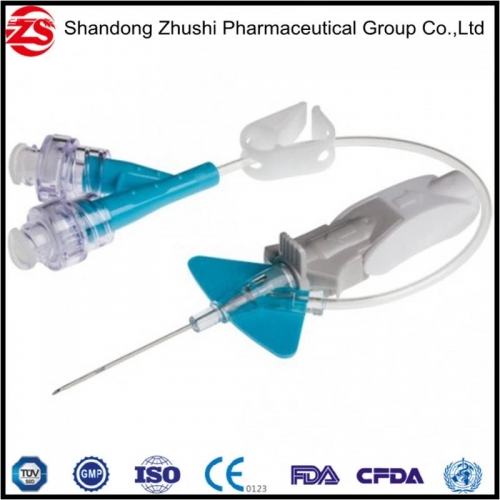 Detaining Needle/IV Catheter with Injection Type Disposable Safety