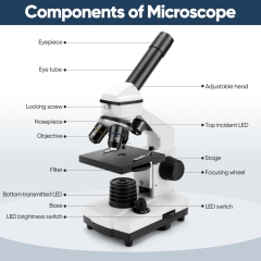 Dcorn Microscope for Adults Kids, 2000X Compound Microscope Biological with Slides Professional Microscope Kit for School Labs, Gifts for Kids