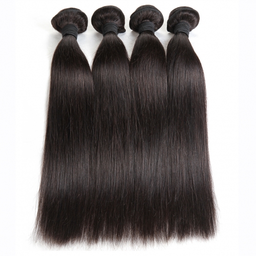 LSS Human Hair Straight Bundles With Free 4*4 Closure Natural Color