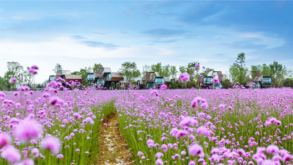 Anren Overseas Chinese Town Flower Expo Leisure Resort