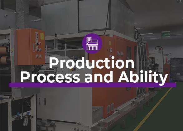 Production process and capacity