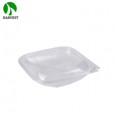 PET Recyclable Square Salad Container - KP Series