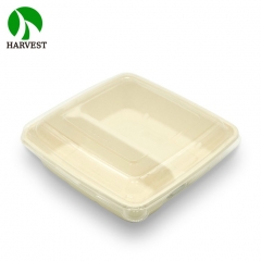 一次性方形环保可降解两格竹浆健身餐盒带盖沙拉盒