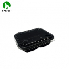 Small Square Plastic Food Box - HP-22