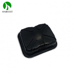 Small Square Plastic Food Box - HP-22