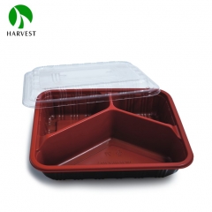 Classic Japanese Plastic Bento Box - HAM Series