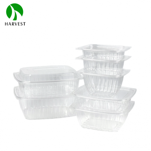 HB series rectangular disposable plastic salad box