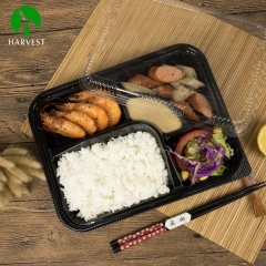 Classic Japanes Plastic Bento Box - J-83 Series