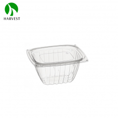 Rectangle Disposable Plastic Salad Container - HB Series