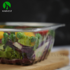 Rectangle Disposable Plastic Salad Container - HB Series