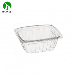 Rectangle Disposable Plastic Salad Container - HB Series