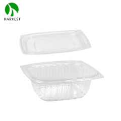 Rectangle Disposable Plastic Salad Container - HB Series