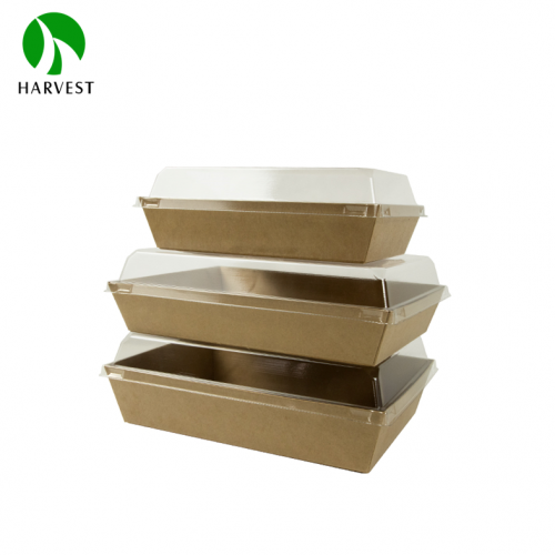 Kraft Paper Food Box with Clear Lid - PR Series