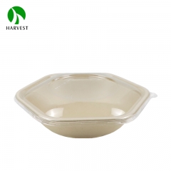 Hexagon Pulp Food Salad Bowl - CBH Series