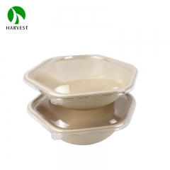 Hexagon Pulp Food Salad Bowl - CBH Series