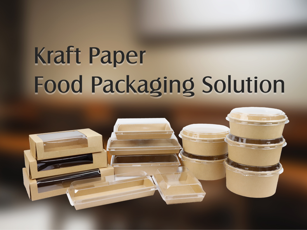 Eco Friendly Kraft Paper Food Packaging Solutions