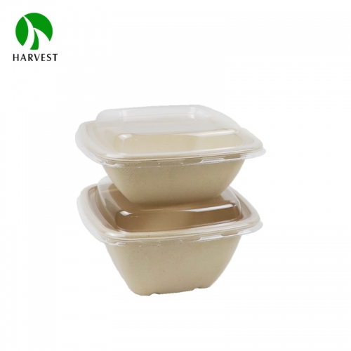 5" Small Square Pulp Food Box - CS Series