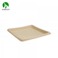 Pulp Sushi Tray - BP3040 Series