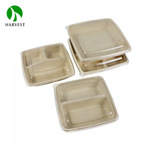 8" 9" Square Pulp Food Bento Box - CS Series