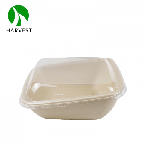 CBS series 7 -inch 8 -inch square bamboo pulp environmental protection oblique bowl