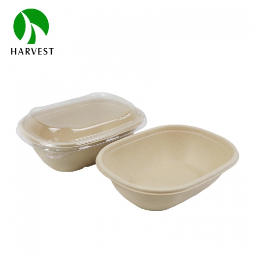 CBO series oval bamboo pulp environmental protection lunch box