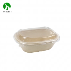 Oval Pulp Food Bowl - CBO Oval Series