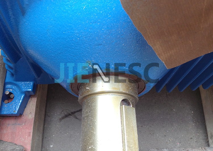 CRW160 SMT244939 9300 Escalator Worm Gear From Factory