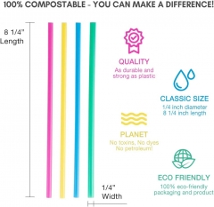 Custom Colorful Compostable PLA Disposable Straws 300 Pack
