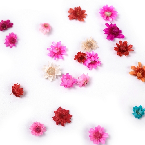 Nail Decoration Stereoscopic Dried Flowers