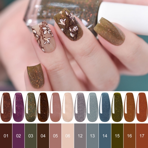 Nail Polish Kit 12pcs/Set 02