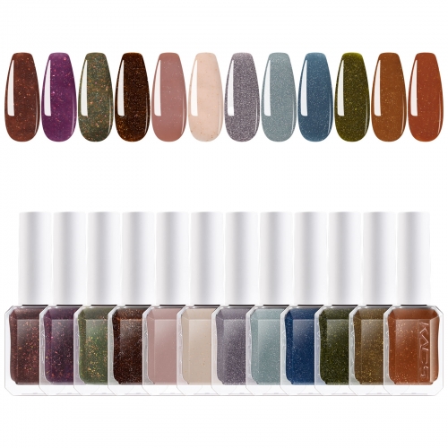 Nail Polish Kit 12pcs/Set 02