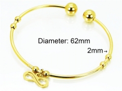 HY Jewelry Wholesale Stainless Steel 316L Bangle (PDA Style)-HY89B0030JLS