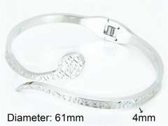 HY Stainless Steel 316L Bangle-HY80B0801HHQ