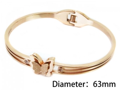 HY Wholesale Stainless Steel 316L Bangle(Crystal)-HY80B0870HLQ