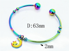 HY Jewelry Wholesale Stainless Steel 316L Bangle (Colorful)-HY58B0435KLC