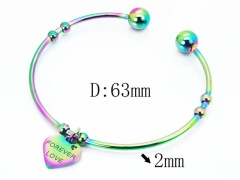 HY Jewelry Wholesale Stainless Steel 316L Bangle (Colorful)-HY58B0418KLS