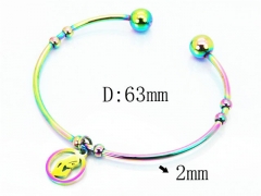 HY Jewelry Wholesale Stainless Steel 316L Bangle (Colorful)-HY58B0420KLF